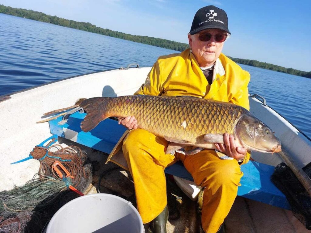 Fil 2024-06-09 15 17 34 (1)