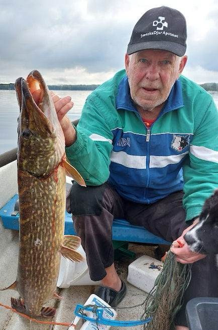 Fil 2024-06-09 15 18 25